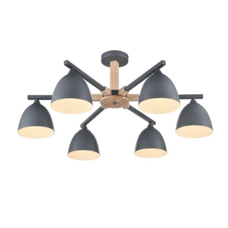 Люстра на штанге LUMION 8096/6C