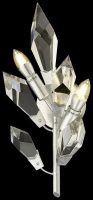 Настенный светильник Casandra WE111.02.201