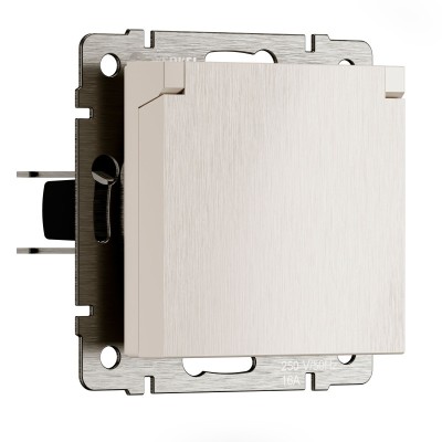 Розетка Werkel W1171213 N