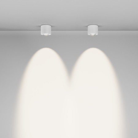 Влагозащищенный светильник Maytoni Technical C217CL-15W4K-W