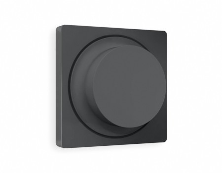 Накладка на механизм QUANT AP9055