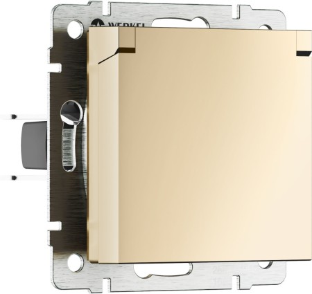 Розетка Встраиваемые механизмы шампань W1171211