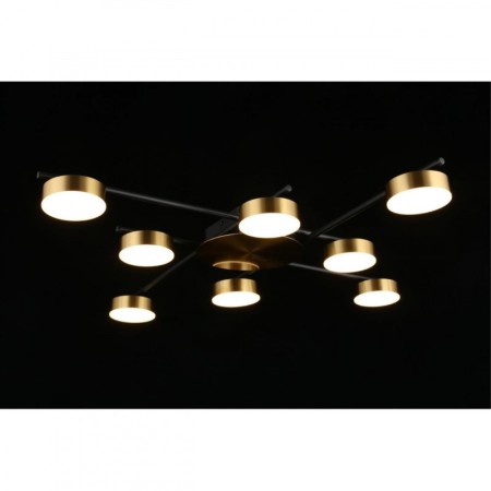 Накладная люстра APLOYT APL.042.07.56