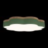 Накладной светильник LOFT IT 10225/36 Green