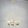 Подвесная люстра ImperiumLoft 203933-26