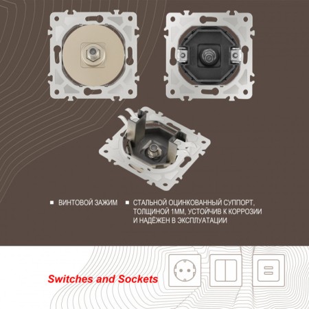 Розетка Arte Milano 202.42-1.shampan