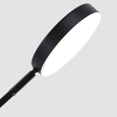 Интерьерная настольная лампа Vorago 4572-1T