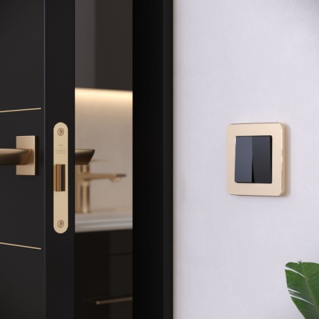 Рамка Platinum шампань W0012611