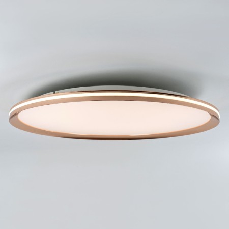 Накладной светильник LED4U L3020-600 GD