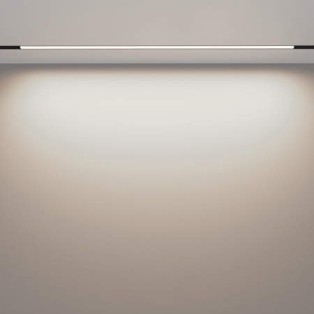 Светильник на шине Maytoni Technical TR030-2-30W4K-B