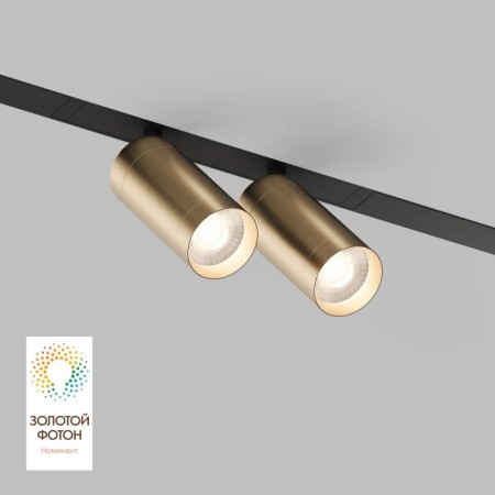 Трековый светильник SMART SPOT DK8012-BG