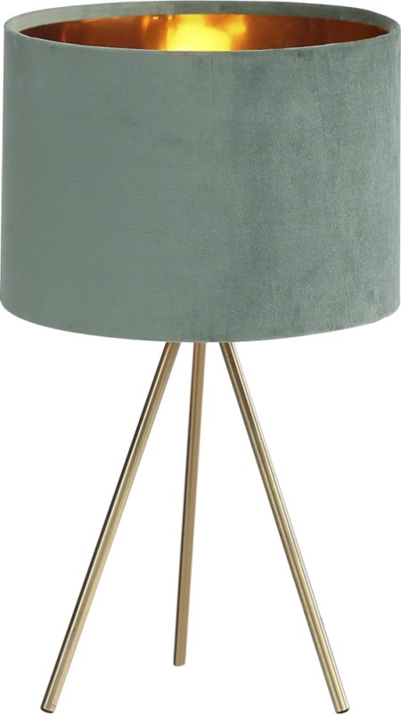 Интерьерная настольная лампа Fuego SL6242.704.01