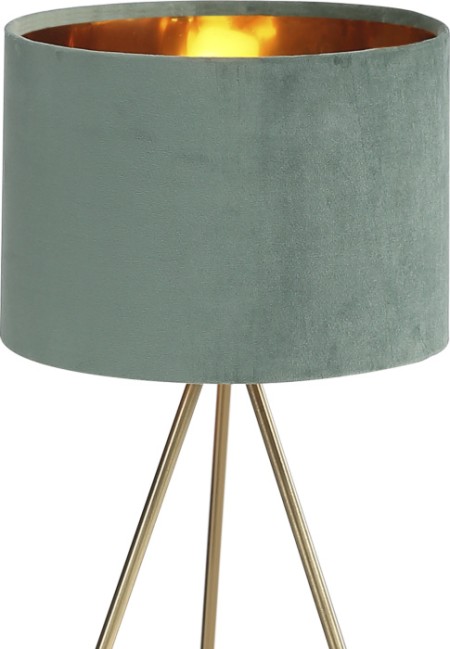 Интерьерная настольная лампа Fuego SL6242.704.01