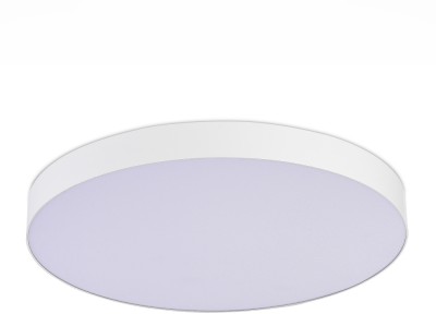 Потолочный светильник  ST606.542.96