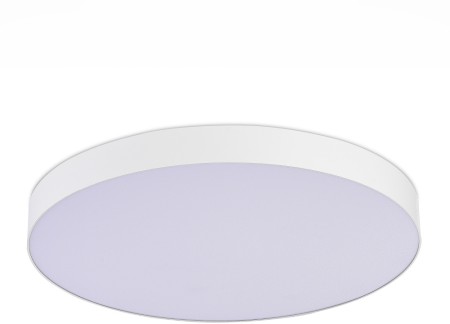 Потолочный светильник  ST606.542.96