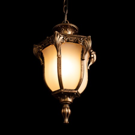 Подвесной уличный светильник LOFT IT 100017P