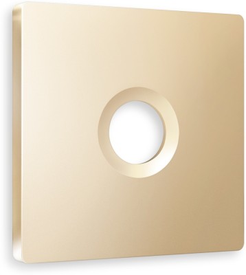 Накладка на механизм QUANT AP6130