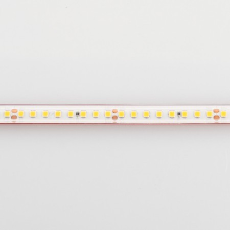 Лента Arlight 024545