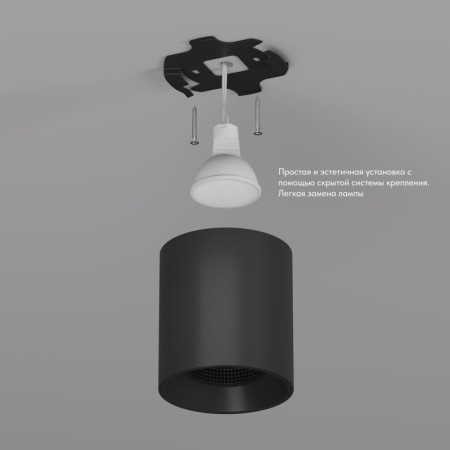 Накладной светильник Denkirs DK3090-BK