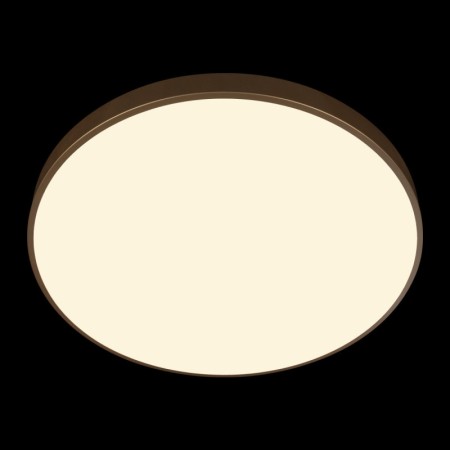 Накладной светильник LOFT IT 10228/B