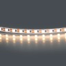 Светодиодная лента Lightstar 420563