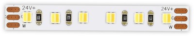 Светодиодная лента  ST1003.014.20CCT