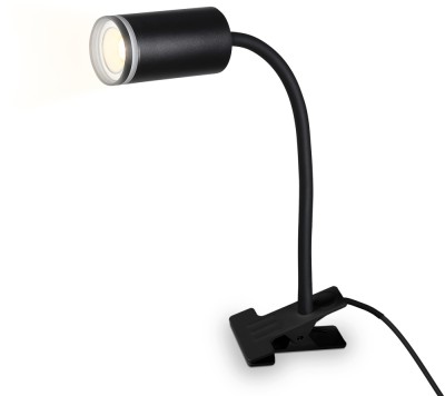 Офисная настольная лампа WALLERS FW2468