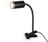 Офисная настольная лампа WALLERS FW2468