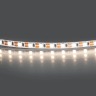 Светодиодная лента Lightstar 420564