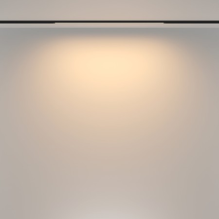 Светильник на шине Maytoni Technical TR173-1-16WTW-B