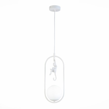 Потолочный детский светильник Evoluce SLE115123-01