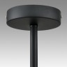 Люстра на штанге LUMION 8060/6C