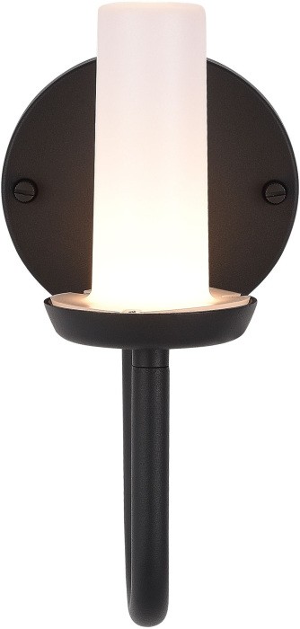 Настенный светильник уличный Candle SL9539.701.01