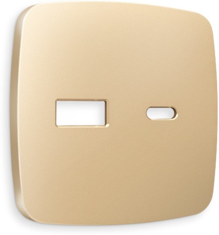 Накладка на механизм QUANT OP6110