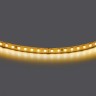 Светодиодная лента Lightstar 420843