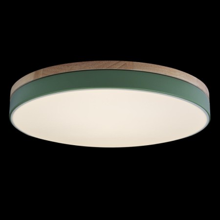 Потолочный детский светильник LOFT IT 10001/36 Green