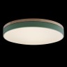 Потолочный детский светильник LOFT IT 10001/36 Green