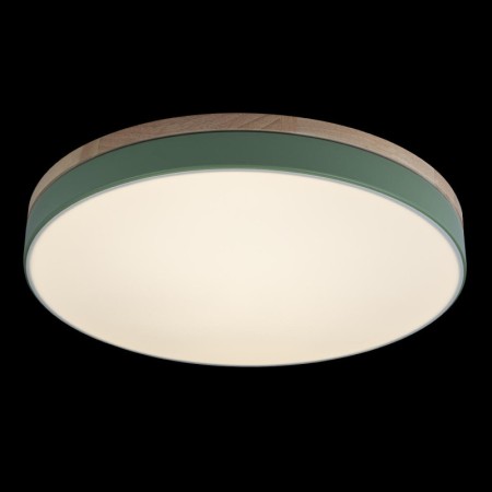 Потолочный детский светильник LOFT IT 10001/36 Green