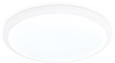 Потолочный светильник Orbital Air FZ1230