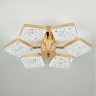 Накладная люстра LED4U L8452-6