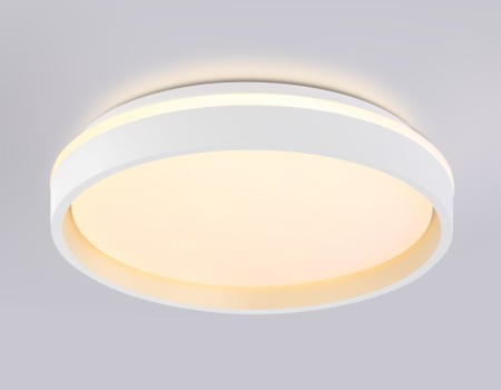 Потолочный светильник ORBITAL FZ601