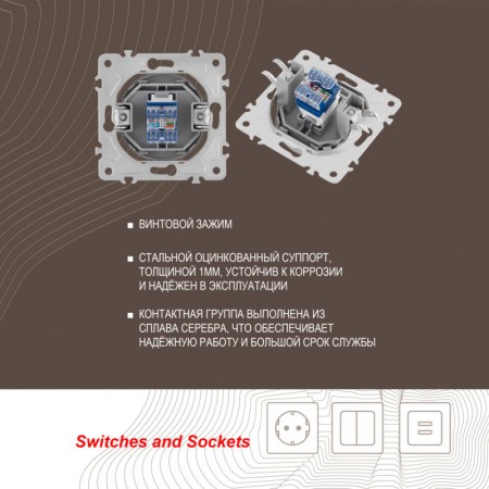 Розетка Arte Milano 202.45-1.silver