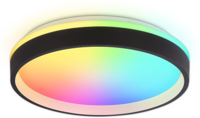 Потолочный светильник ORBITAL FZ604