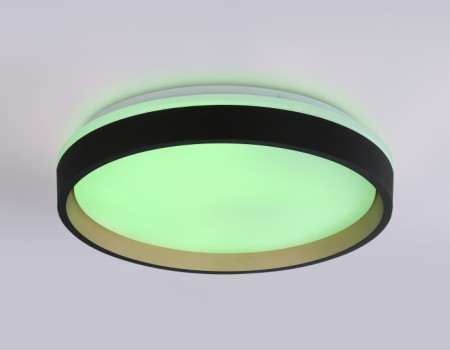 Потолочный светильник ORBITAL FZ604