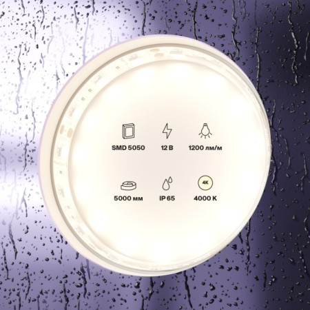 Светодиодная лента Светодиодная лента 12В 10132