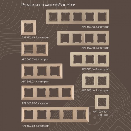 Розетка Arte Milano 203.47-1.shampan