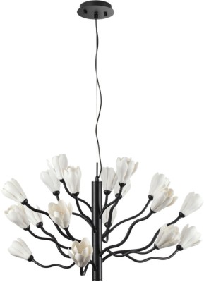 Подвесная люстра Gardi 5090/18