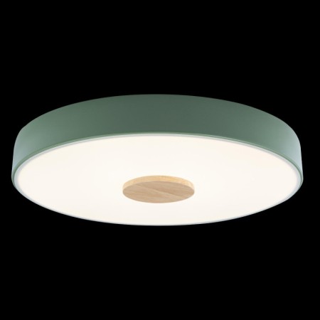 Потолочный детский светильник LOFT IT 10003/24 Green