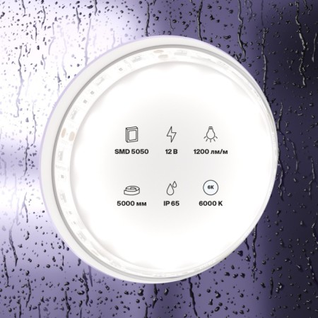 Светодиодная лента Светодиодная лента 12В 10133