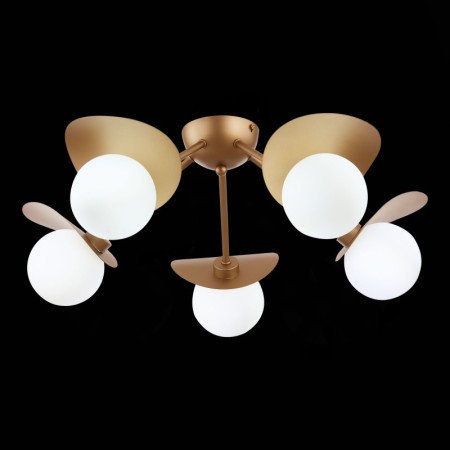 Накладная люстра Evoluce SLE220502-05